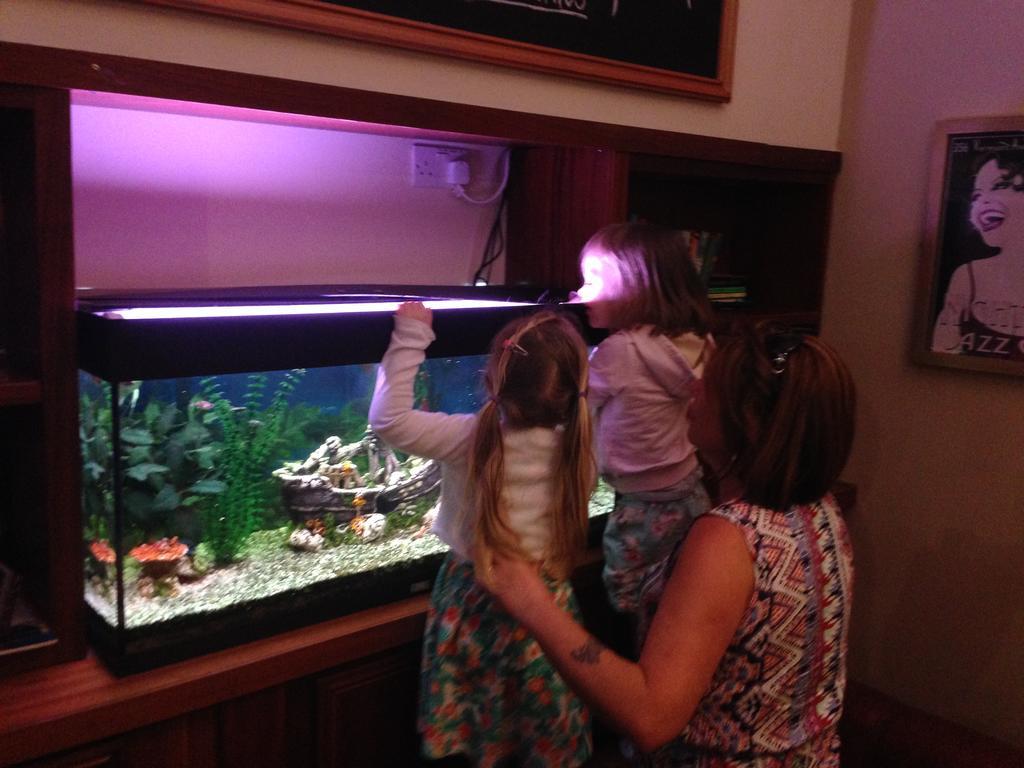 Leitrim Marina Hotel Carrick on Shannon Zewnętrze zdjęcie